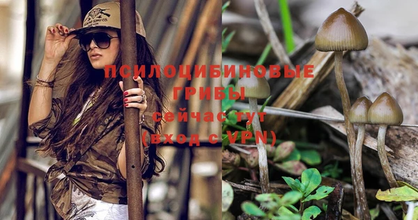 соль курить ск Костерёво