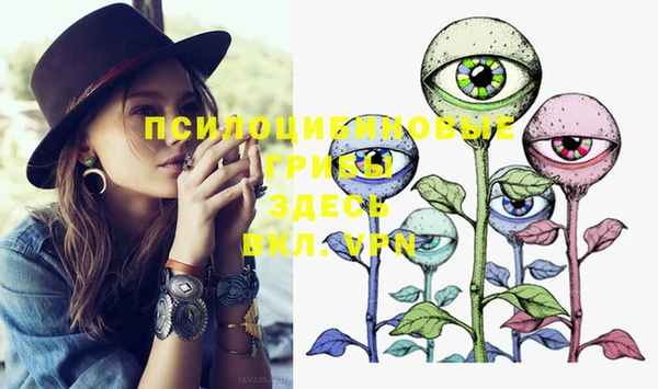 mdma Козловка