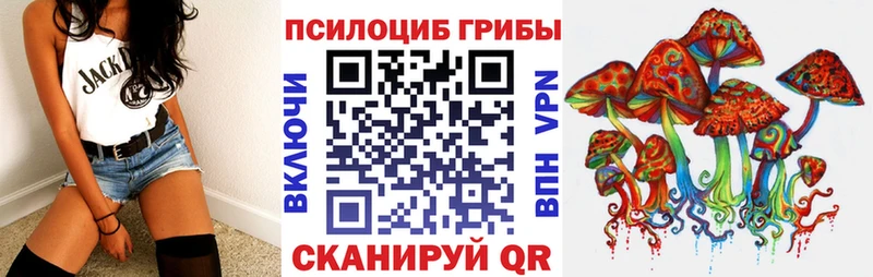 Псилоцибиновые грибы Psilocybe  Купить закладки  Красногорск 